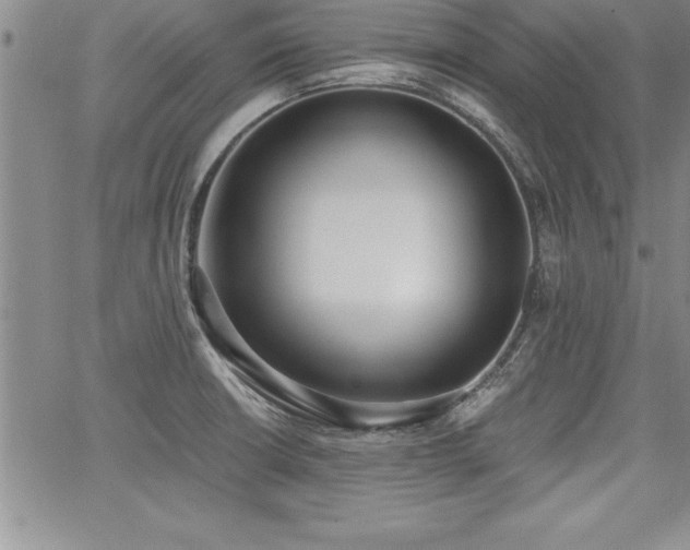 X0000068301426200604211127