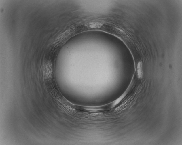 X0000068301443200604211126
