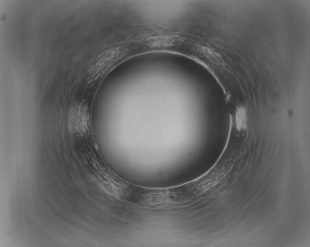 X0000068301444200604211126