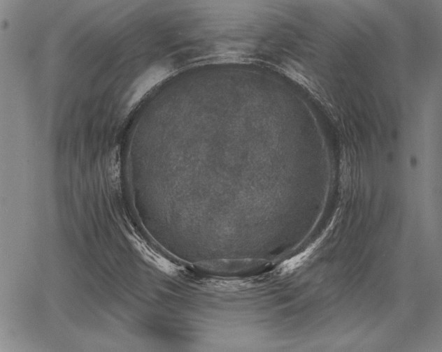 X0000068301450200604211126