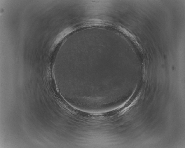 X0000068301453200604211126