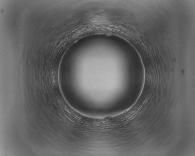 X0000068301490200604211124