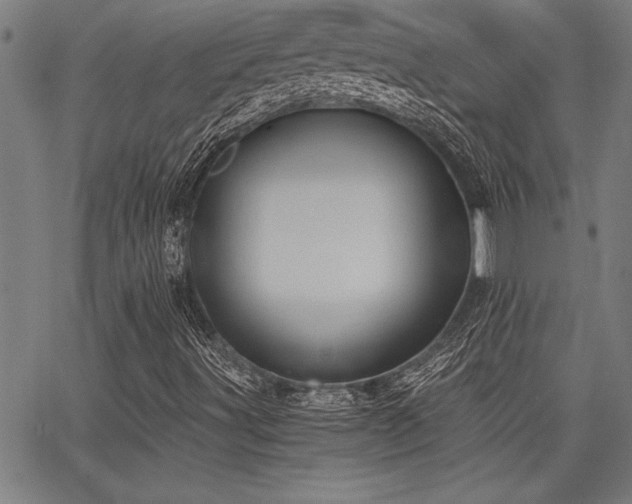 X0000068301491200604211124