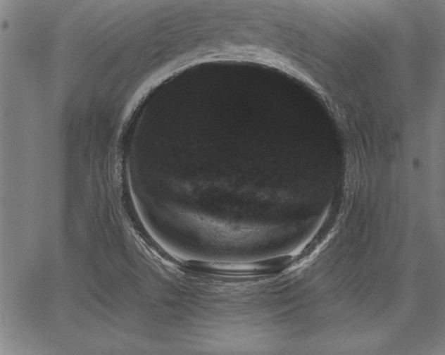 X0000068301506200604211125