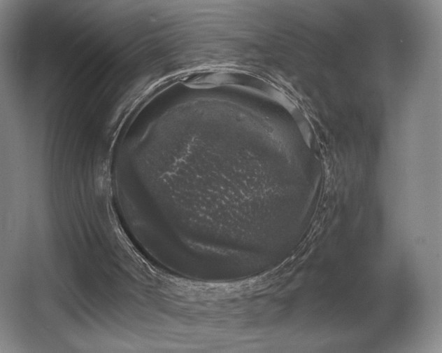 X0000068300002200604241349