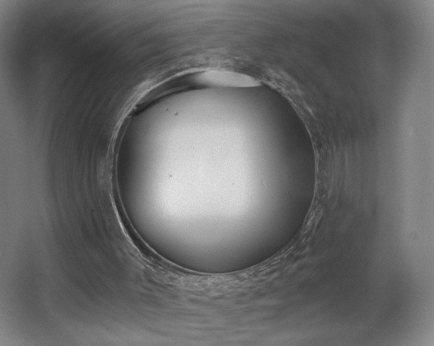 X0000068300003200604241349