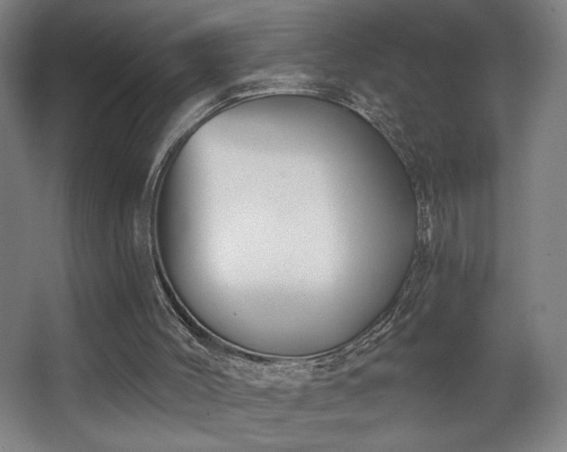 X0000068300004200604241349