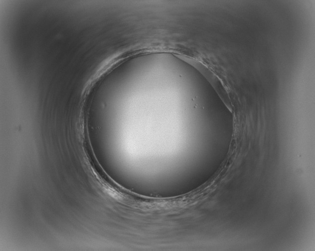 X0000068300005200604241349