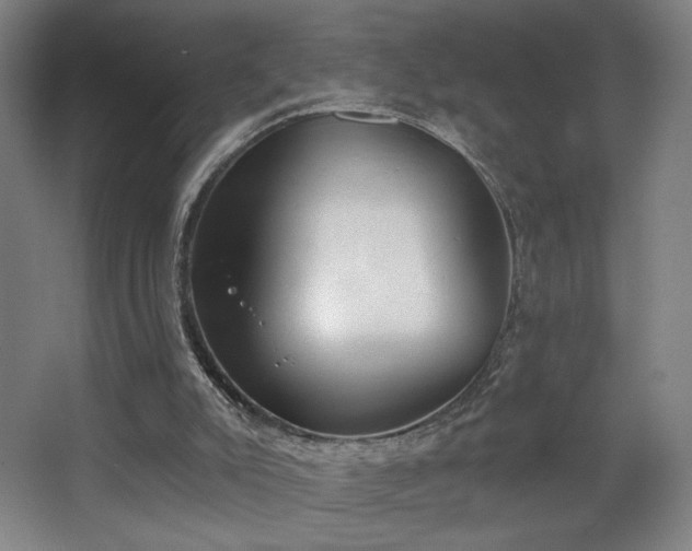 X0000068300007200604241349