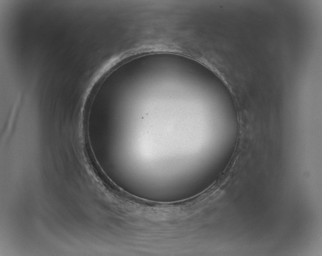 X0000068300008200604241349