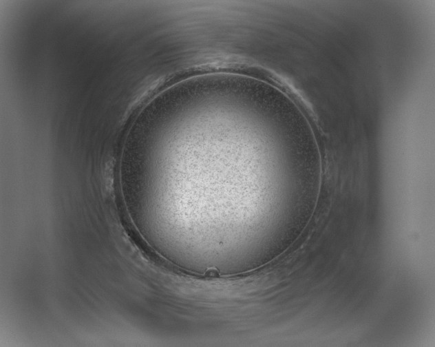 X0000068300010200604241349