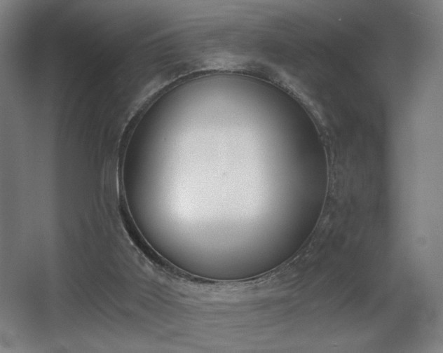 X0000068300011200604241349