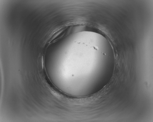 X0000068300013200604241349