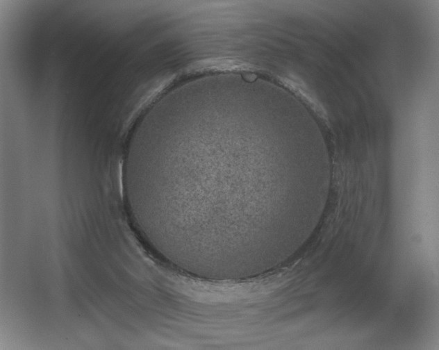 X0000068300014200604241349