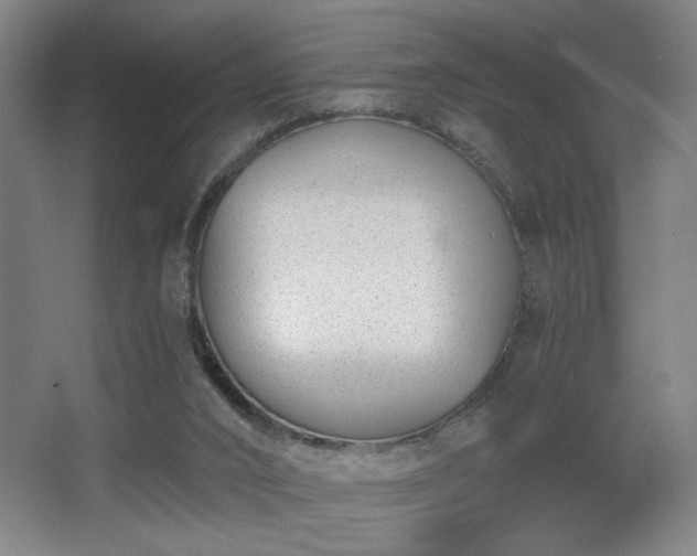 X0000068300016200604241349