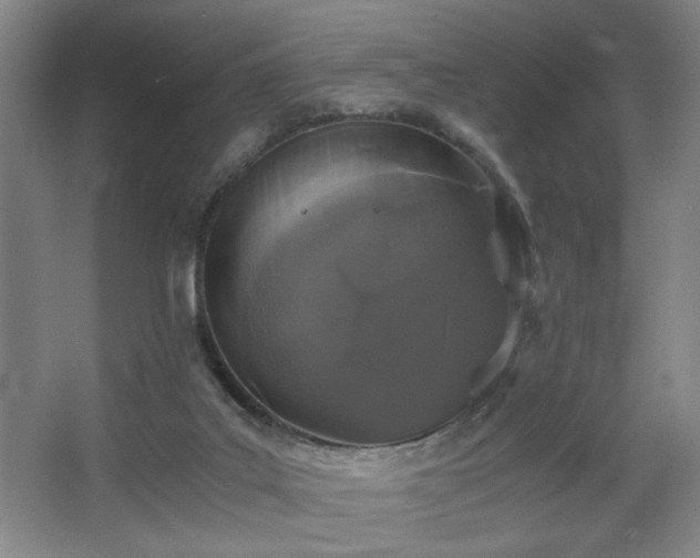 X0000068300019200604241349