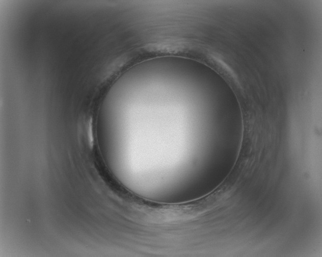 X0000068300020200604241349