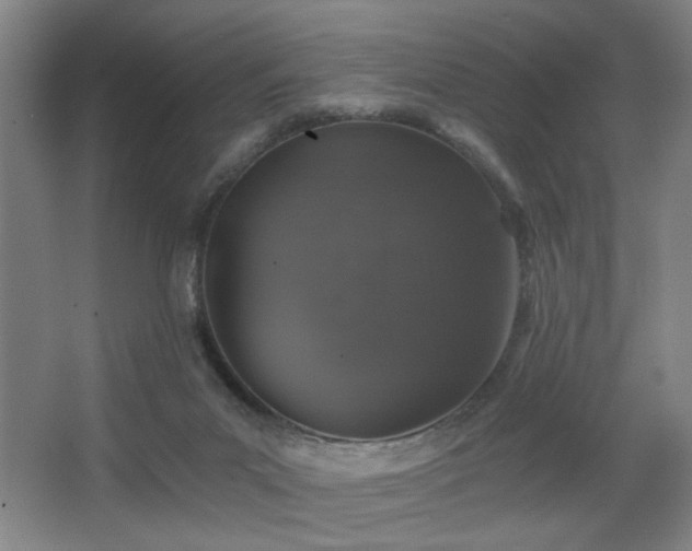 X0000068300023200604241349