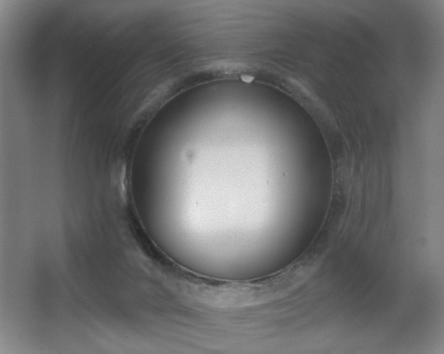 X0000068300024200604241349