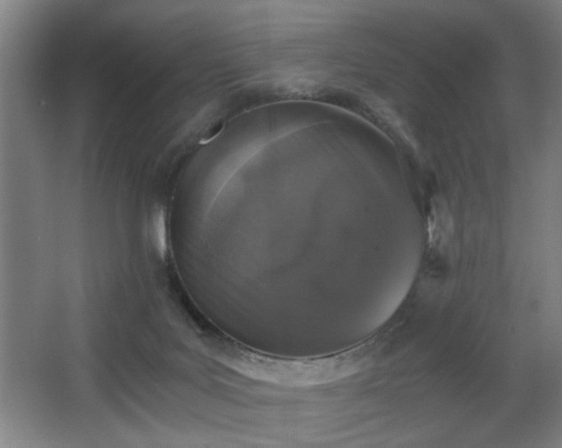 X0000068300027200604241349