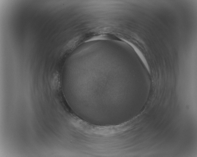 X0000068300029200604241349