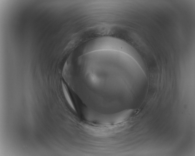 X0000068300035200604241349