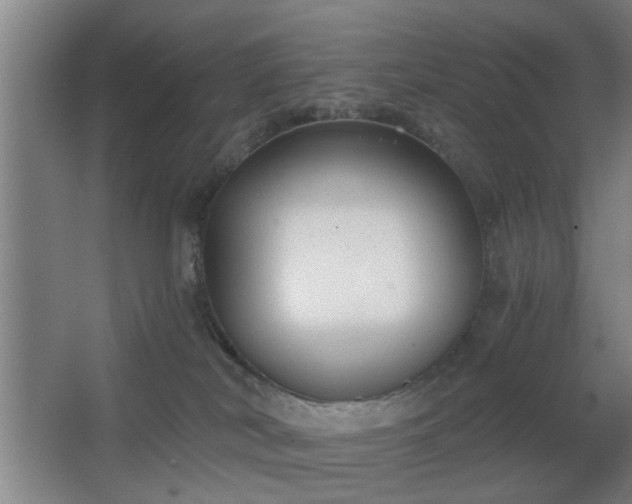 X0000068300038200604241348