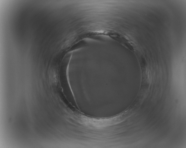 X0000068300039200604241348
