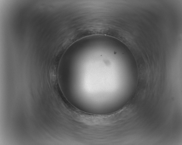 X0000068300040200604241348