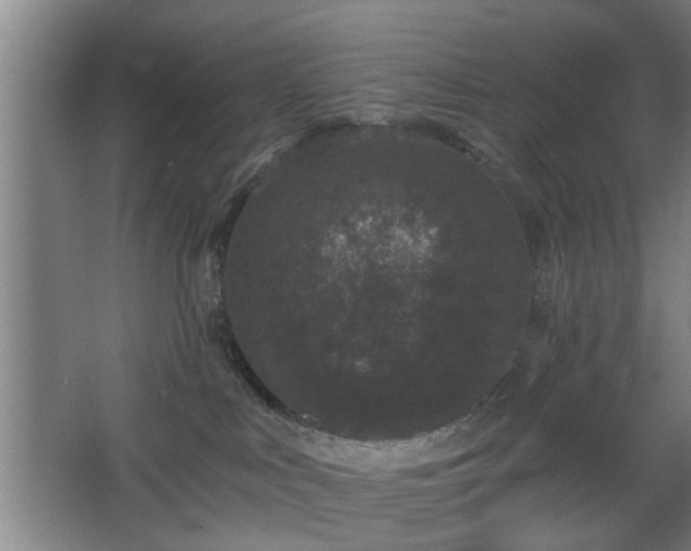 X0000068300043200604241348