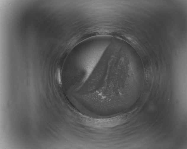 X0000068300046200604241348