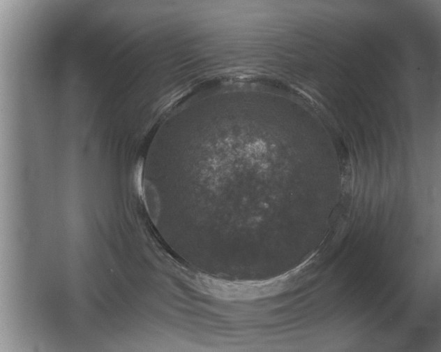 X0000068300047200604241348