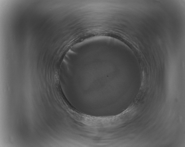 X0000068300048200604241348