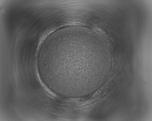 X0000068300049200604241347
