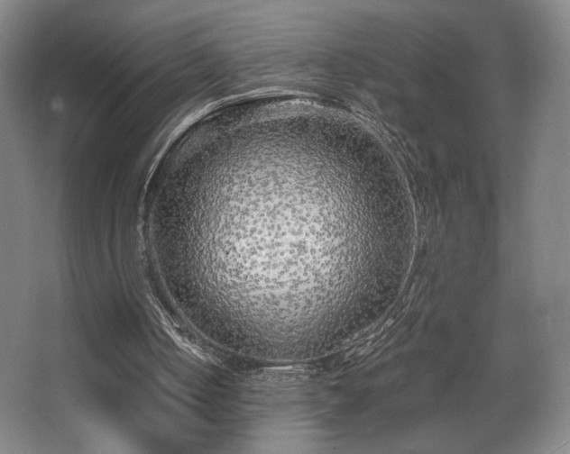 X0000068300050200604241348