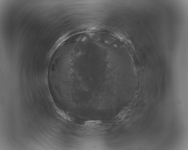X0000068300051200604241348