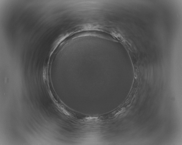 X0000068300052200604241348