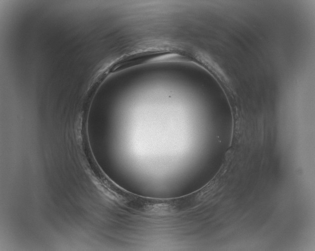 X0000068300058200604241348
