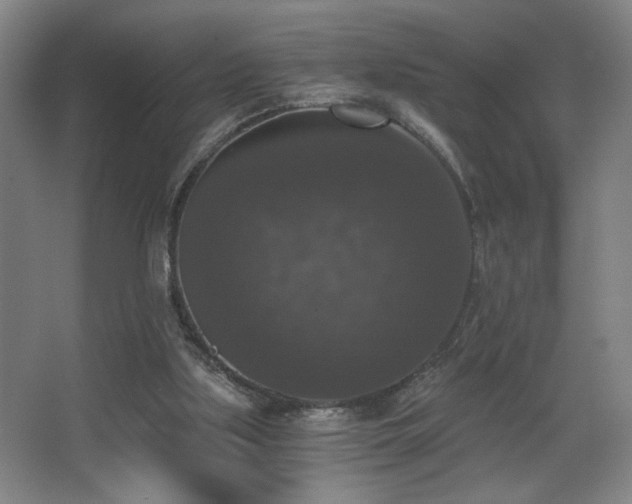 X0000068300059200604241348