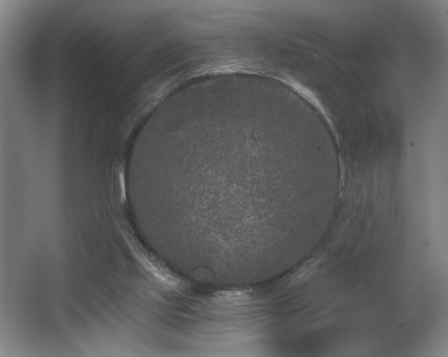 X0000068300061200604241348