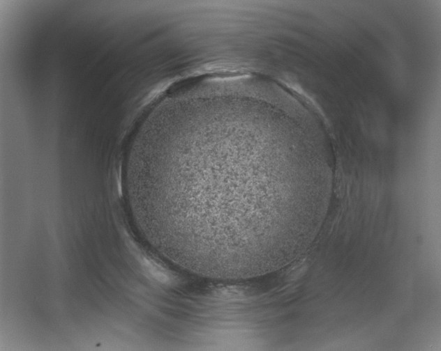 X0000068300062200604241348