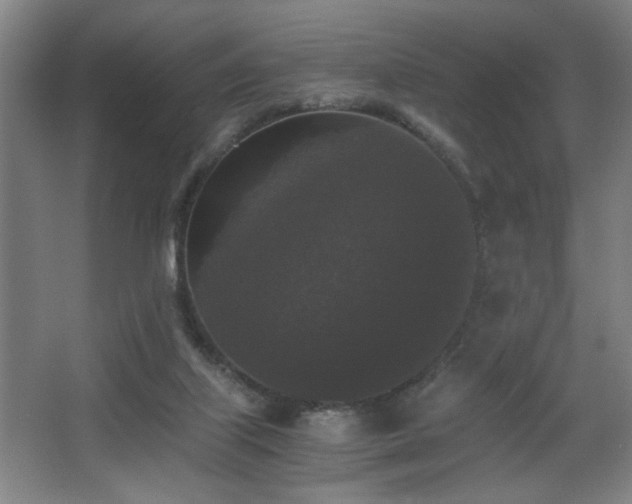 X0000068300067200604241348