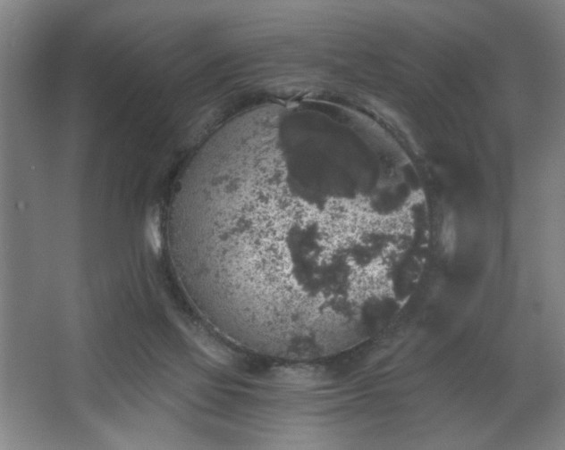 X0000068300069200604241348