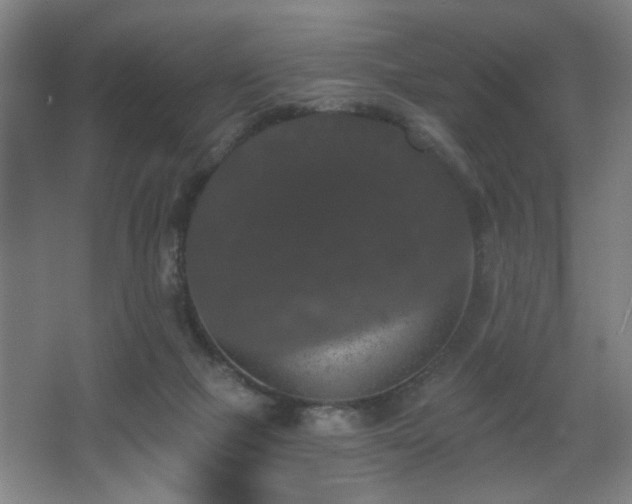 X0000068300073200604241348