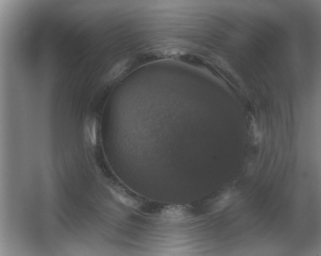 X0000068300076200604241348