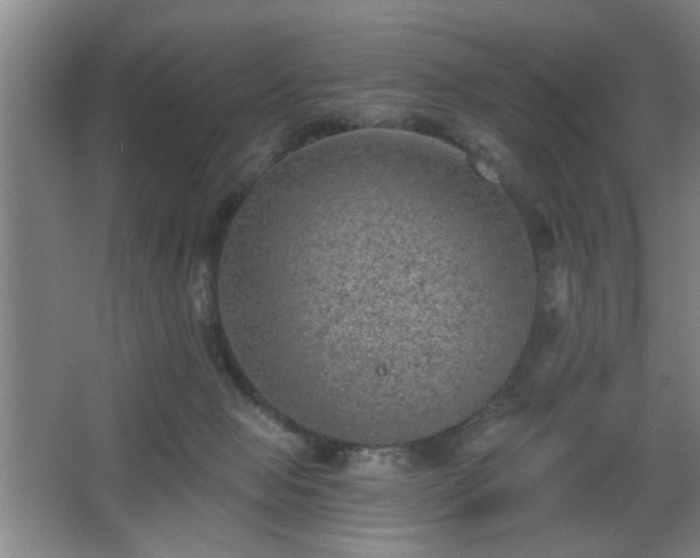 X0000068300077200604241348