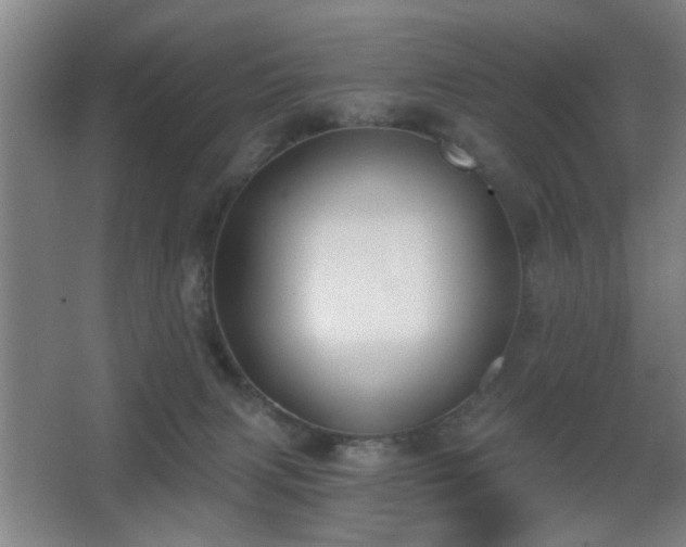 X0000068300079200604241348