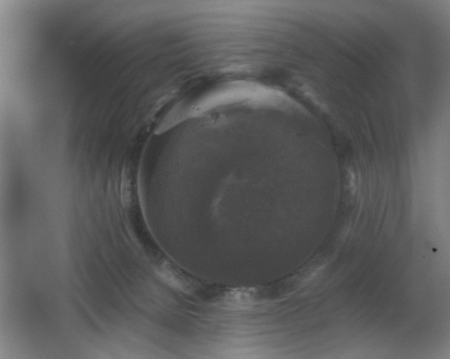 X0000068300080200604241348