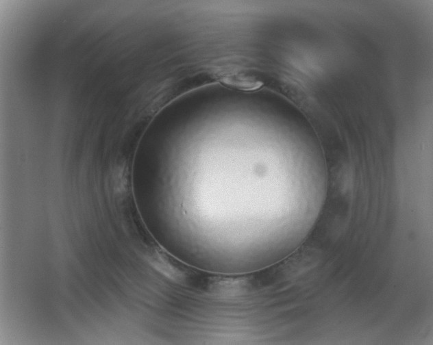 X0000068300081200604241348