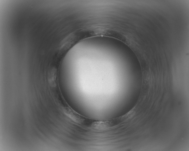 X0000068300082200604241348